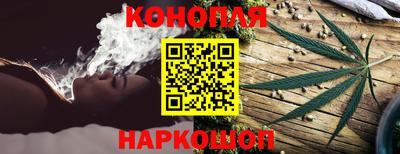 прущие грибы Тула