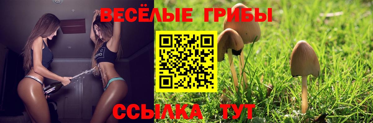 Михайловск  цена наркотик  Вход с VPN  Галлюциногенные грибы ЛСД 